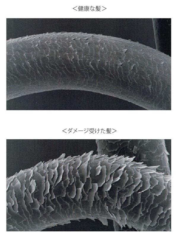 髪のニオイ ワンダー水戸エクセル店のブログ